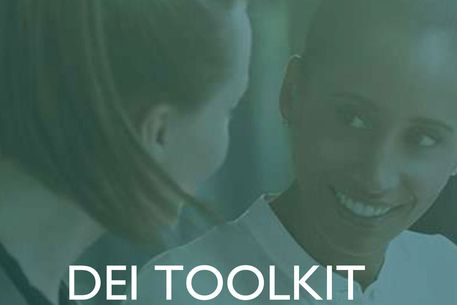 DEI Toolkit